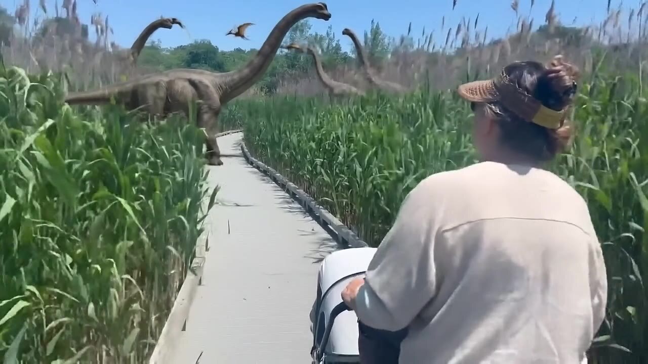 Test 01, Omni: dinosaurs among the reeds ahead of the boardwalk