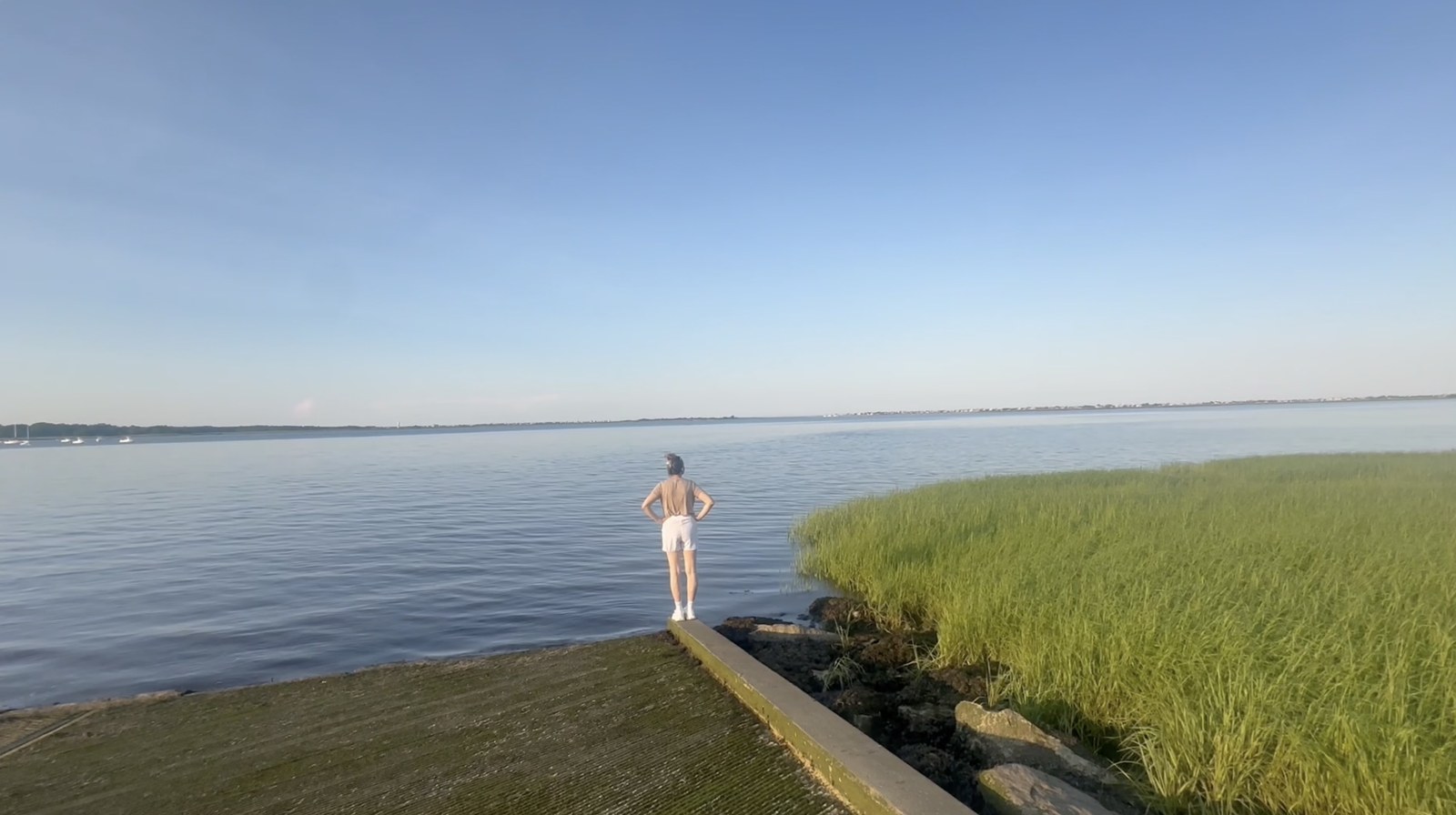 Test 04, original: standing at the edge of the bay by the marsh grass